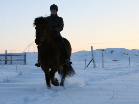 Iceland -Ride, Hot Springs and Whales!